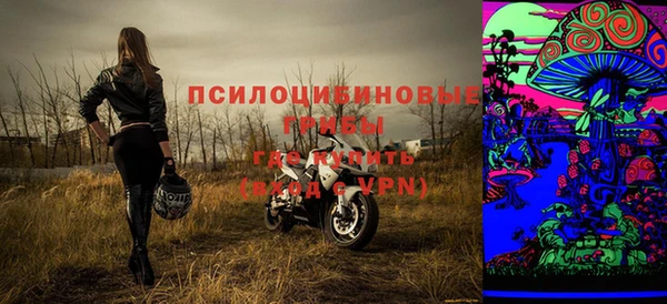 дживик Аркадак