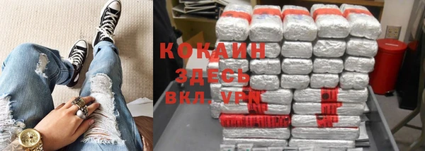 дживик Аркадак