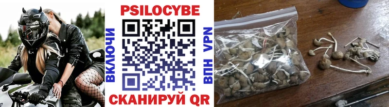 Псилоцибиновые грибы Cubensis  площадка как зайти  Солигалич  omg зеркало 